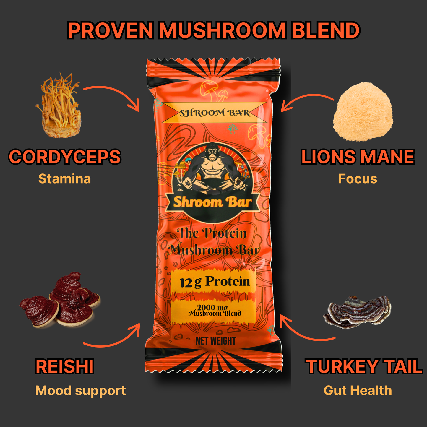 Mushroom Protein Bar