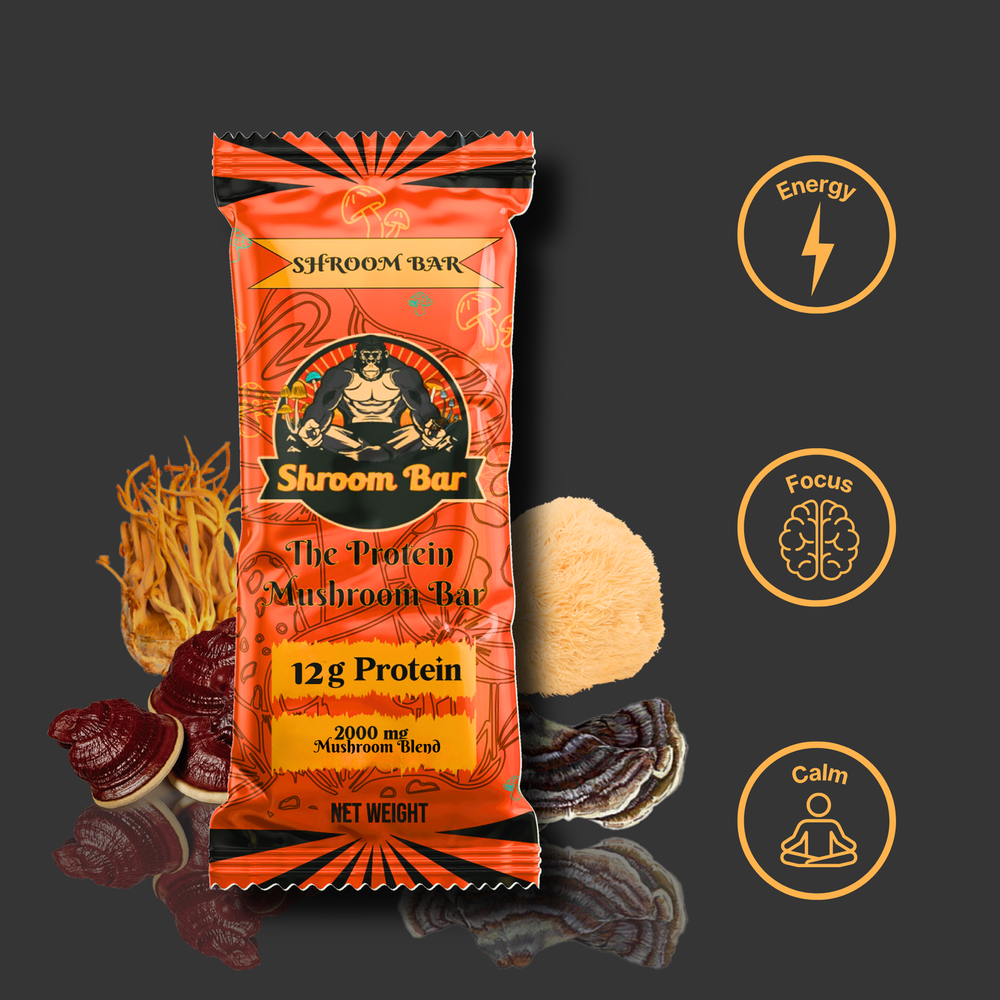 Protein Bar with Actual Benefits- Box of 8