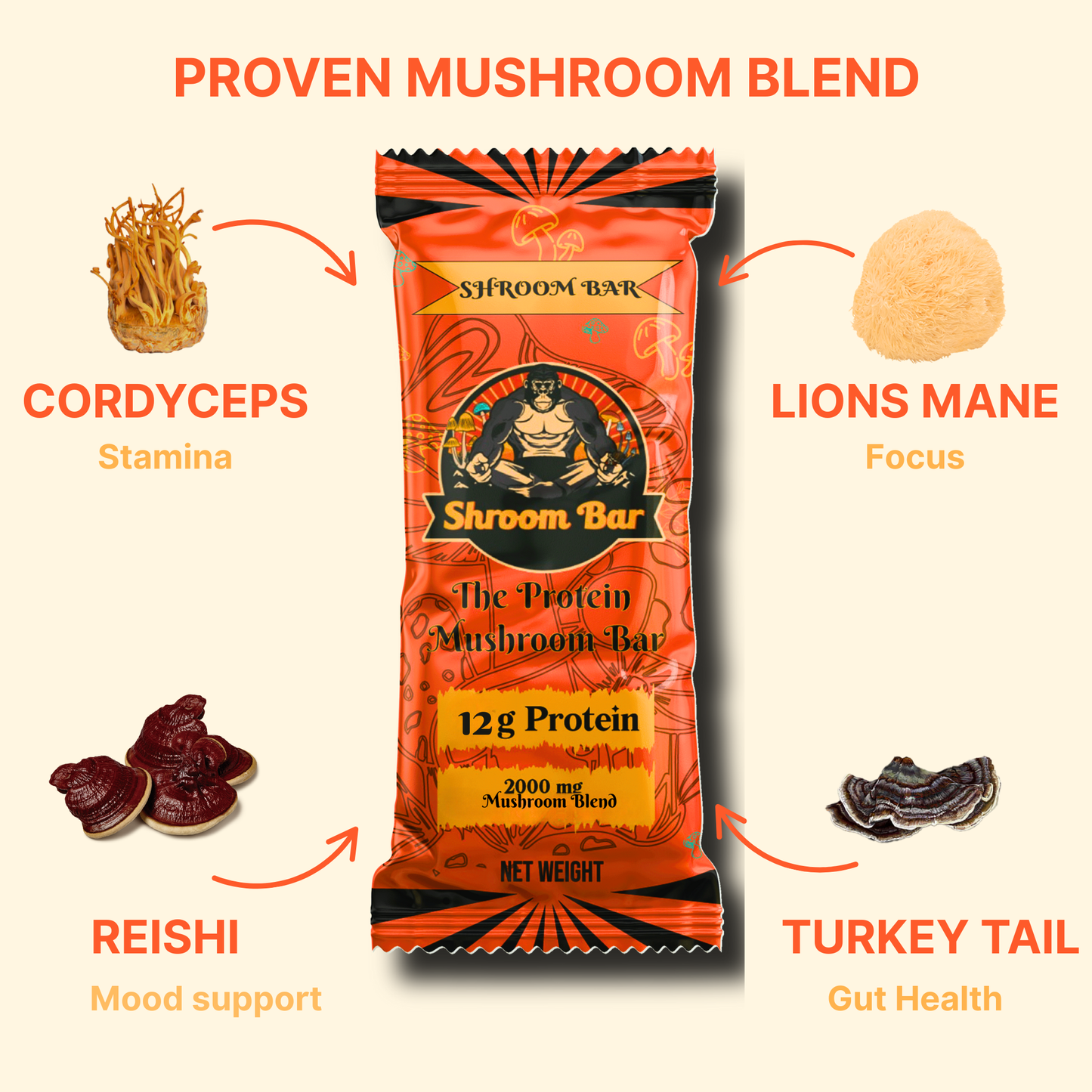 Mushroom Protein Bar
