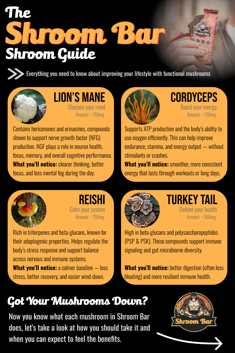 Shroom Bar Instructional