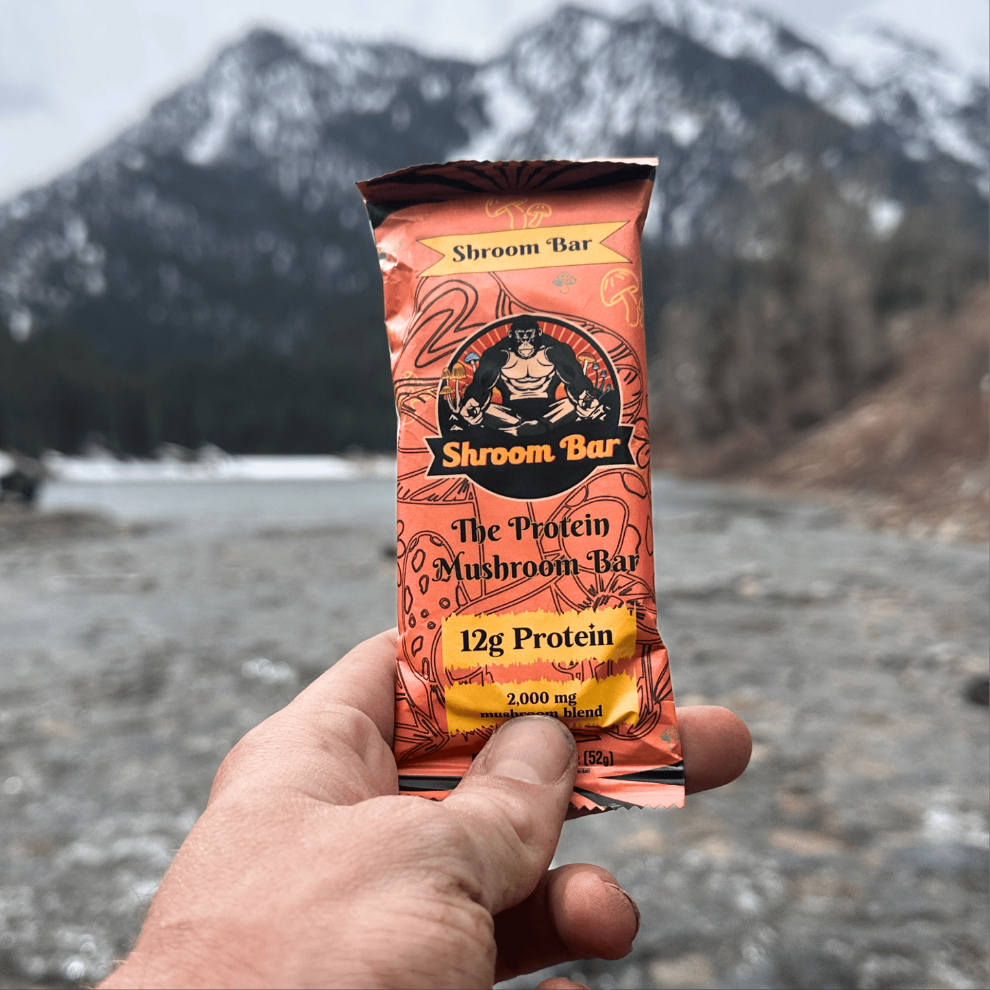 Shroom Bar- Pack of 8